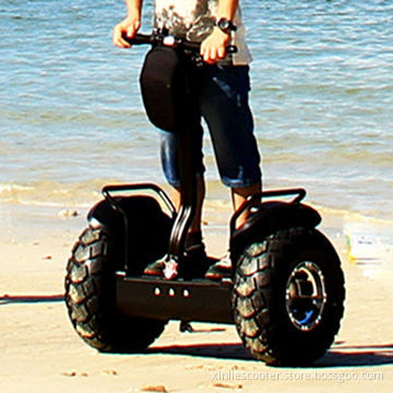 Self balance electric chariot
